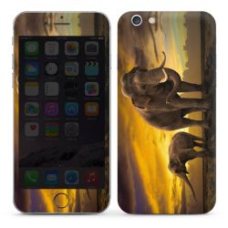 Foils for Smartphones glossy