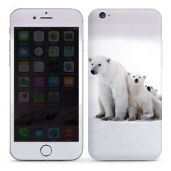 Foils for Smartphones glossy