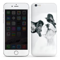 Foils for Smartphones glossy