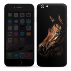 Foils for Smartphones glossy