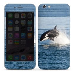 Foils for Smartphones glossy