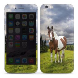 Foils for Smartphones glossy