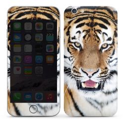 Foils for Smartphones glossy