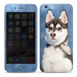 Foils for Smartphones glossy