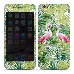 Foils for Smartphones glossy