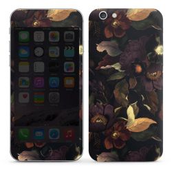 Foils for Smartphones glossy