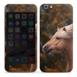 Foils for Smartphones glossy