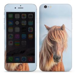 Foils for Smartphones glossy