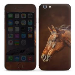 Foils for Smartphones glossy