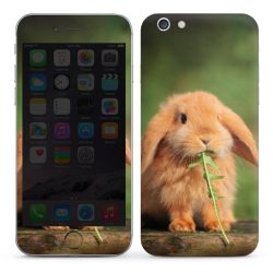 Foils for Smartphones glossy