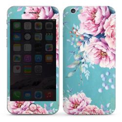 Foils for Smartphones glossy