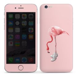 Foils for Smartphones glossy