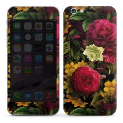 Foils for Smartphones glossy