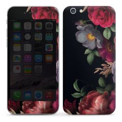 Foils for Smartphones glossy