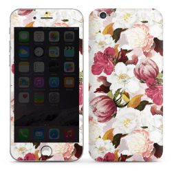 Foils for Smartphones glossy