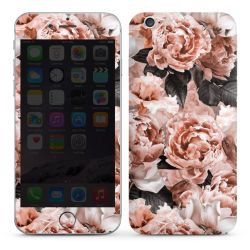 Foils for Smartphones glossy