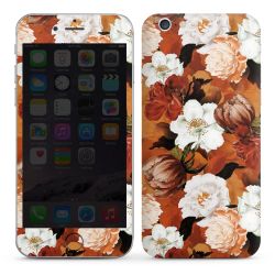 Foils for Smartphones glossy