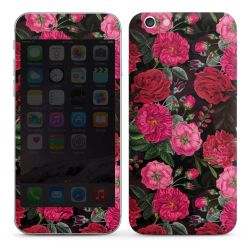 Foils for Smartphones glossy