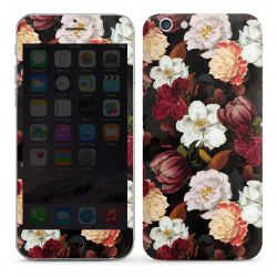 Foils for Smartphones glossy