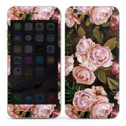 Foils for Smartphones glossy