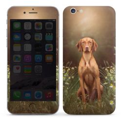 Foils for Smartphones glossy