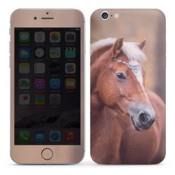 Foils for Smartphones glossy