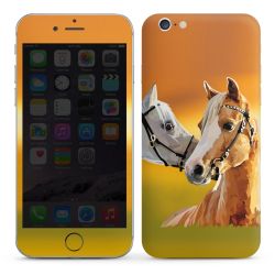 Foils for Smartphones glossy