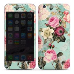 Foils for Smartphones glossy