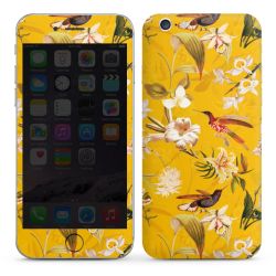 Foils for Smartphones glossy