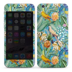 Foils for Smartphones glossy