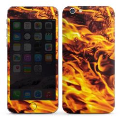 Foils for Smartphones glossy