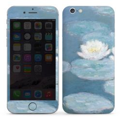 Foils for Smartphones glossy