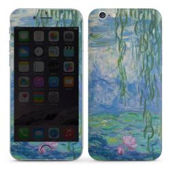 Foils for Smartphones glossy