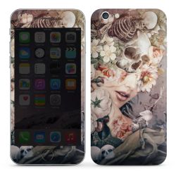 Foils for Smartphones glossy