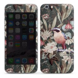 Foils for Smartphones glossy