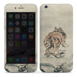 Foils for Smartphones glossy