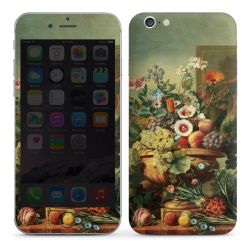 Foils for Smartphones glossy