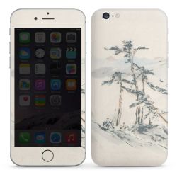 Foils for Smartphones glossy