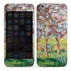 Foils for Smartphones glossy