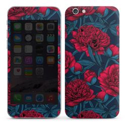 Foils for Smartphones glossy