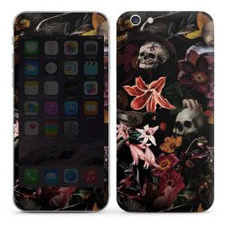 Foils for Smartphones glossy