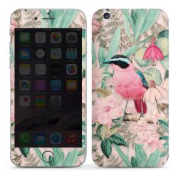 Foils for Smartphones glossy