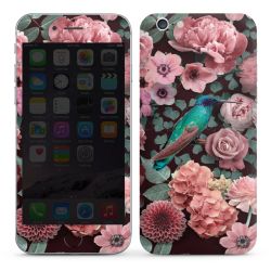 Foils for Smartphones glossy