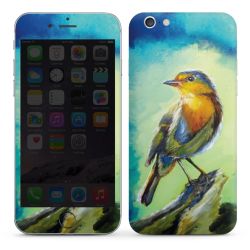 Foils for Smartphones glossy