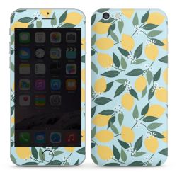 Foils for Smartphones glossy