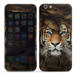 Foils for Smartphones glossy