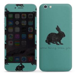 Foils for Smartphones glossy