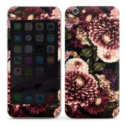 Foils for Smartphones glossy