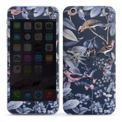 Foils for Smartphones glossy