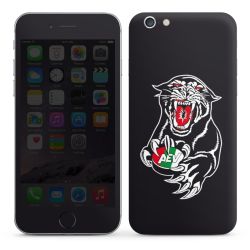 Foils for Smartphones glossy